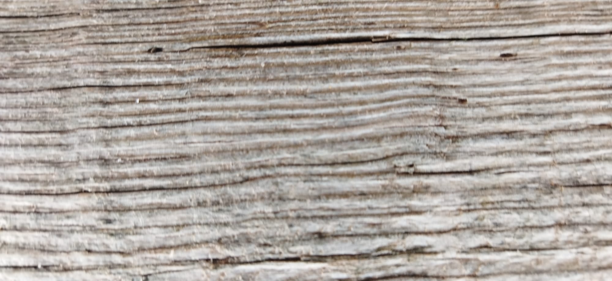 Texture de planches en bois